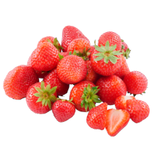Noordertrots aardbeien